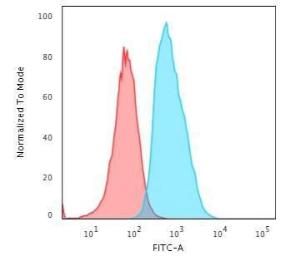 Flow cytometric analysis of T98G cells using Anti-S100A4 Antibody [S100A4/1482] followed by Goat Anti-Mouse IgG (CF&#174; 488) (Blue). Isotype Control (Red)