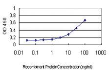 Anti-GUCY2C Mouse Monoclonal Antibody [clone: 3D2]