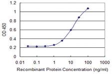 Anti-FAM200A Mouse Monoclonal Antibody [clone: 4E4]