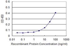 Anti-GUCY2C Mouse Monoclonal Antibody [clone: 1G5]