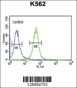 Anti-WDR73 Rabbit Polyclonal Antibody