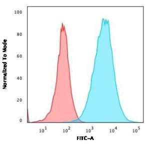 Flow cytometric analysis of A549 cells using Anti-S100A4 Antibody [S100A4/2750R] followed by Goat Anti-Rabbit IgG (CF&#174; 488) (Blue). Isotype Control (Red).