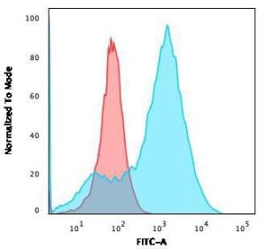 Flow cytometric analysis of A549 cells using Anti-S100A4 Antibody [S100A4/1482] followed by Goat Anti-Mouse IgG (CF&#174; 488) (Blue). Isotype Control (Red)