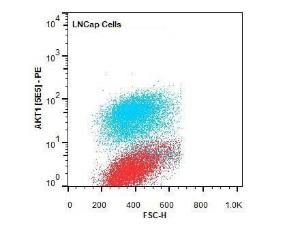 Anti-AKT1 Mouse monoclonal antibody (RPE (R-Phycoerythrin)) [clone: 5E5.F5.D7]