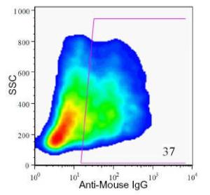 Anti-HPx2 Mouse Monoclonal Antibody [clone: HIC0-1C10]