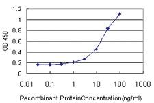 Anti-GDF11 Mouse Monoclonal Antibody [clone: 4F7]