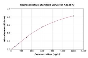 Representative standard curve for Human SerpinB2/PAI-2 ELISA kit (A312677)