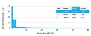 Analysis of protein array containing more than 19,000 full-length human proteins using Anti-S100A4 Antibody [CPTC-S100A4-3] Z-Score and S- Score