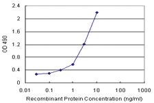 Anti-SNAP23 Antibody Pair