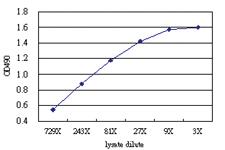 Anti-GLUL Antibody Pair