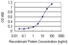 Anti-FZD4 Mouse Monoclonal Antibody [clone: 3G7]