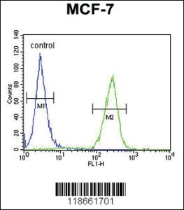 Anti-MYLIP Rabbit Polyclonal Antibody