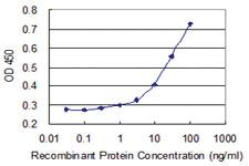 Anti-PHKA2 Mouse Monoclonal Antibody [clone: 1D4]