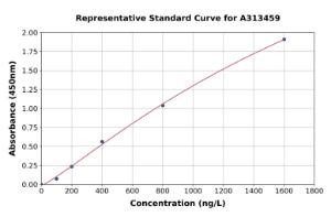 Representative standard curve for human NOX5 ELISA kit (A313459)