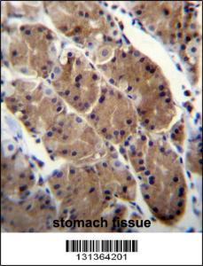 Anti-MLNR Rabbit Polyclonal Antibody (FITC (Fluorescein Isothiocyanate))