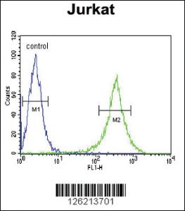 Anti-GNE Rabbit Polyclonal Antibody