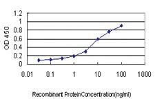 Anti-GUCY2D Mouse Monoclonal Antibody [clone: 1F12]