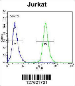 Anti-POTEB Rabbit Polyclonal Antibody (Biotin)