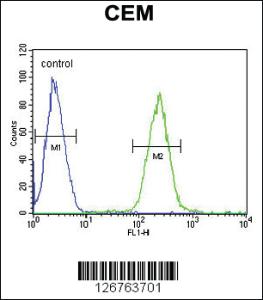 Anti-STAMBPL1 Rabbit Polyclonal Antibody