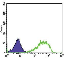 Anti-XRCC5 Mouse Monoclonal Antibody [clone: 5C5]