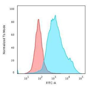 Flow cytometric analysis of paraformaldehyde fixed HeLa cells using Anti-Cytokeratin 7 Antibody [KRT7/760] followed by Goat Anti-Mouse IgG (CF&#174; 488) (Blue) Isotype Control (Red)