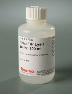 IP lysis buffer, Pierce™