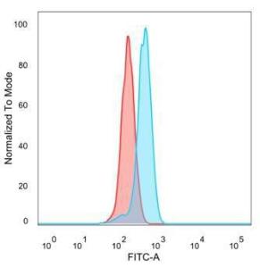 Antibody A248286-100 100 µg