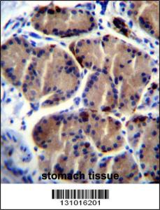 Anti-LIPC Rabbit Polyclonal Antibody (FITC (Fluorescein Isothiocyanate))