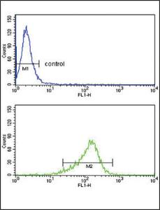 Anti-IL12A Rabbit Polyclonal Antibody (Biotin)