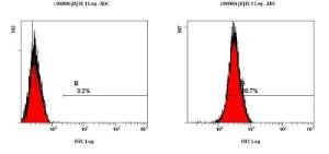 Anti-HMGB1 Rabbit Polyclonal Antibody