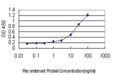 Anti-ILF2 Mouse Monoclonal Antibody [clone: 1E2]