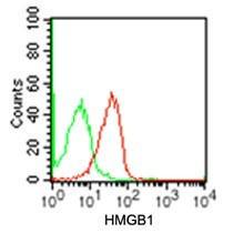 Anti-HMGB1 Mouse Monoclonal Antibody [clone: 19N15F4]