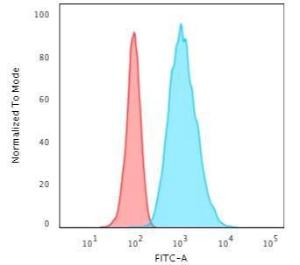 Flow cytometric analysis of HeLa cells using Anti-Cytokeratin 7 Antibody [rOV-TL12/30] followed by Goat Anti-Mouse IgG (CF&#174; 488) (Blue) Isotype Control (Red)