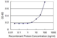 Anti-UNC5CL Mouse Monoclonal Antibody [clone: 3G7]