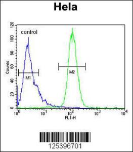 Anti-INTS10 Rabbit Polyclonal Antibody