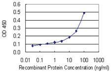 Anti-SERPINC1 Mouse Monoclonal Antibody [clone: 2B12]