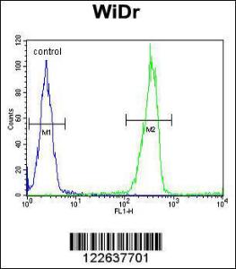 Anti-Galectin-2 Rabbit Polyclonal Antibody (FITC (Fluorescein))