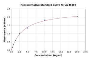 Representative standard curve for Human MVK ELISA kit (A246886)