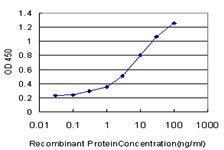 Anti-EPHB6 Mouse Monoclonal Antibody [clone: 5D8]