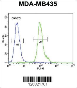 Anti-NPM3 Rabbit Polyclonal Antibody