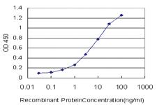 Anti-SLC29A4 Mouse Monoclonal Antibody [clone: 6B6]