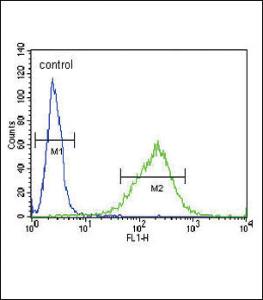 Anti-GABRA2 Rabbit Polyclonal Antibody (APC (Allophycocyanin))