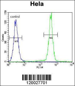 Anti-PCDHB10 Rabbit Polyclonal Antibody (HRP (Horseradish Peroxidase))