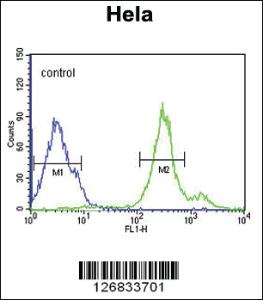 Anti-CYC1 Rabbit Polyclonal Antibody