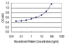 Anti-DAAM2 Mouse Monoclonal Antibody [clone: 1D8]