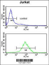 Anti-PPM1H Rabbit Polyclonal Antibody (APC (Allophycocyanin))