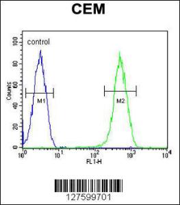 Anti-CRCT1 Rabbit Polyclonal Antibody (APC (Allophycocyanin))