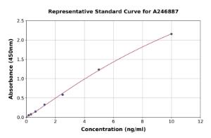 Representative standard curve for Human SQSTM1/p62 ELISA kit (A246887)