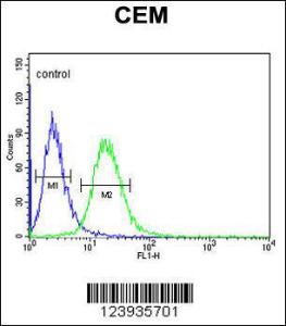 Anti-GABRA4 Rabbit Polyclonal Antibody