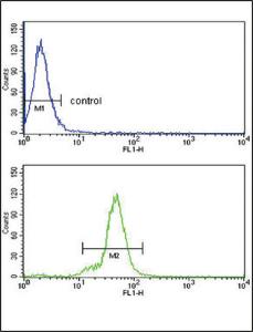 Anti-IL21 Rabbit Polyclonal Antibody (AP (Alkaline Phosphatase))